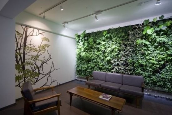 室内装饰 巧用植物装点家居环境