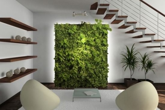 室内装饰 巧用植物装点家居环境