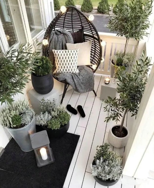 家居绿植什么最好