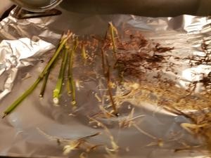 茴香杆妙用-自制茴香粉的做法 步骤1