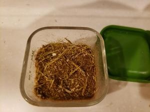 茴香杆妙用-自制茴香粉的做法 步骤4