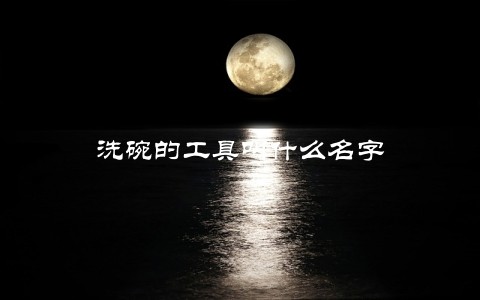 洗碗的工具叫什么名字