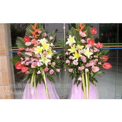 供应供应室内绿植送货上门怡嘉花坊