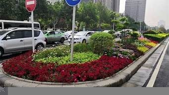 郑州室内绿化景观设计公司