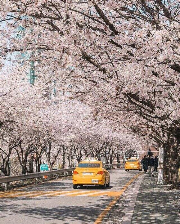 日本人干净节俭的生活，都是如何做到的？这4点是关键！