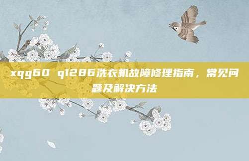xqg60 q1286洗衣机故障修理指南,常见问题及解决方法