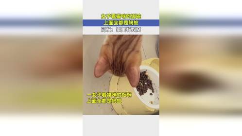 女子看猫咪的饭碗，上面全都是蚂蚁，网友：家里有蚁窝！