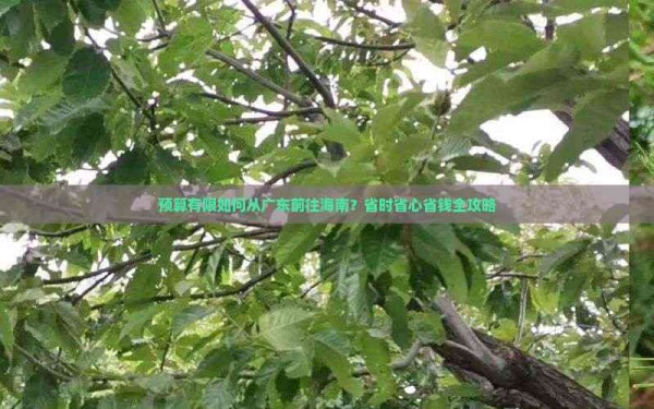 预算有限如何从广东前往海南？省时省心省钱全攻略