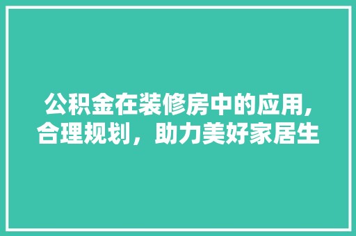 公积金在装修房中的应用,合理规划，助力美好家居生活 软装设计