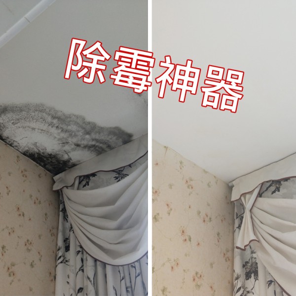 墙体墙面除霉剂白墙墙壁发霉清洁剂去霉点剂墙体除霉剂