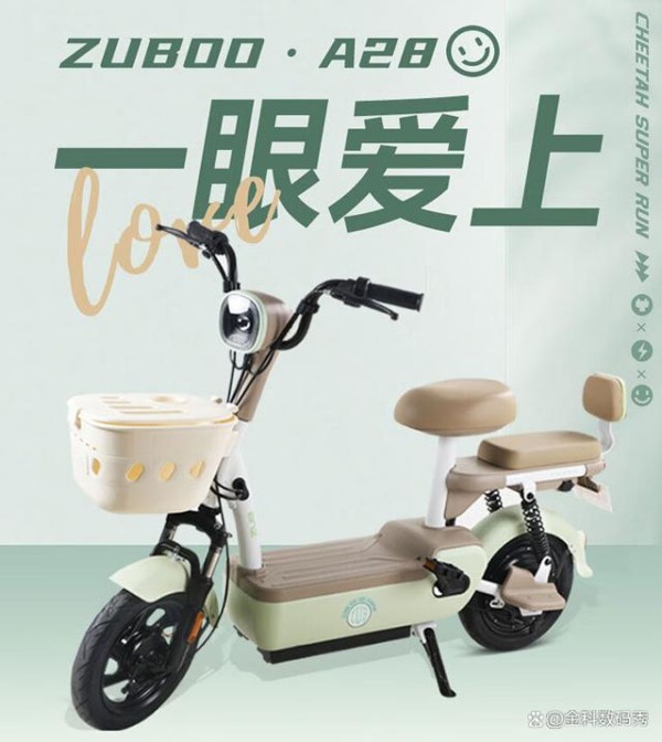 五星钻豹电动车TDT033Z，350W无刷电机，节能高效，出行更自在-有驾