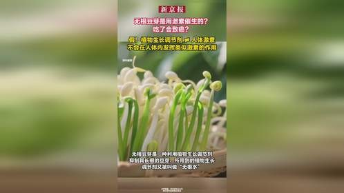 无根豆芽是用激素催生的？吃了会致癌？假！