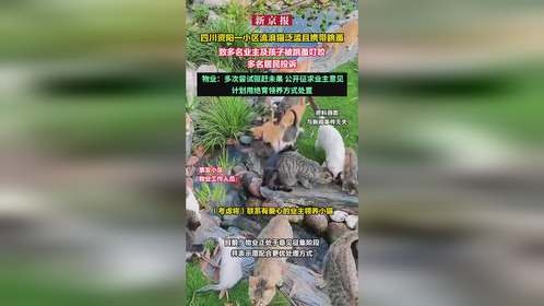 四川资阳小区流浪猫泛滥，居民投诉