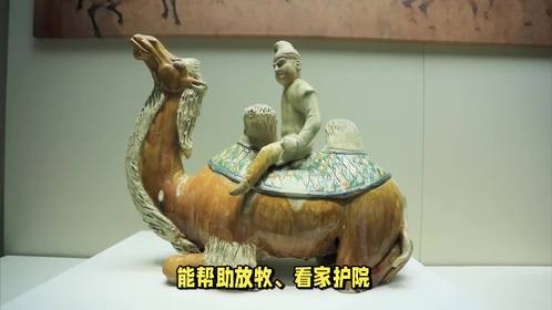 胡人开过什么生肖，你知道其中答案吗？