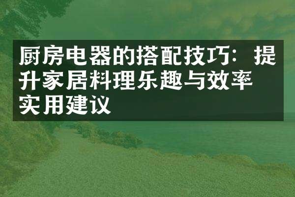 厨房电器的搭配技巧：提升家居料理乐趣与效率的实用建议