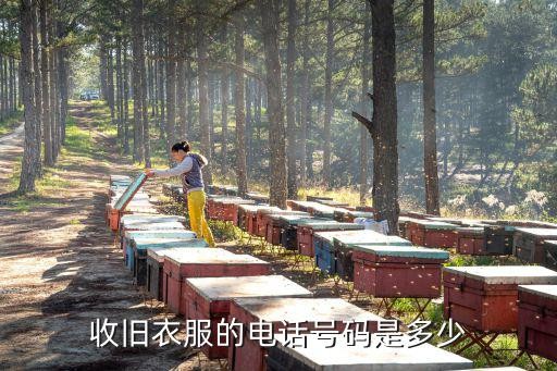 收旧衣服的电话号码是多少