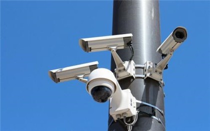 交通违章拍照要多久能查到
