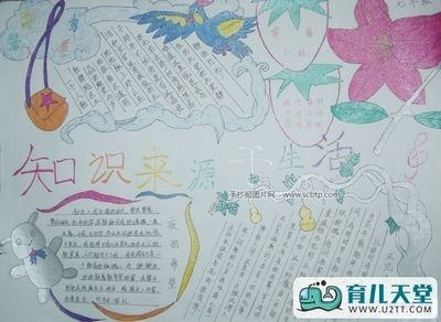 知识天地手抄报 手抄报简单又漂亮