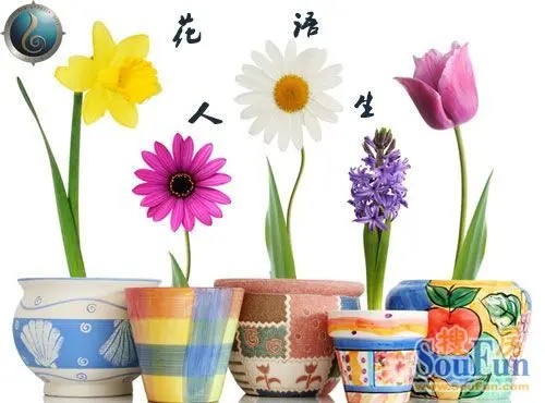 山水凤凰城