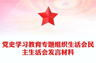 党史学习教育专题组织生活会民主生活会发言材料