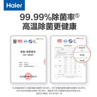海尔(Haier)手持折叠挂烫机便携熨烫小型家用蒸汽电熨斗烫衣服 防干烧一机平挂两用 HY-GW2503A