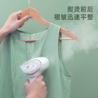 志高(Chigo)手持挂烫机蒸汽熨斗家用小型宿舍学生便携式熨衣服神器熨烫机 豆蔻青 升级款