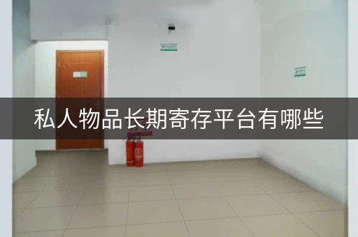 私人物品长期寄存平台有哪些，私人物品储存