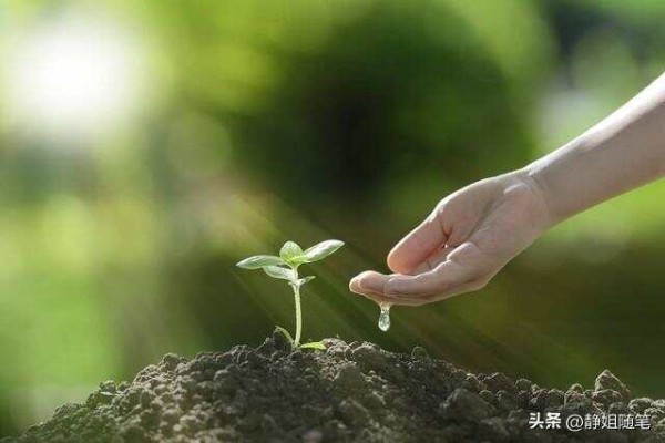 五十岁以后，最好的状态，简单，知足，充实，自由