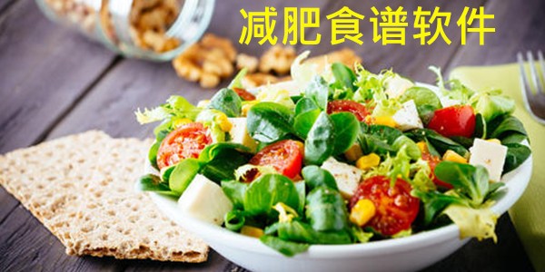 减肥食谱软件