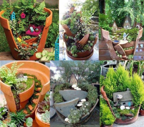 pot plants