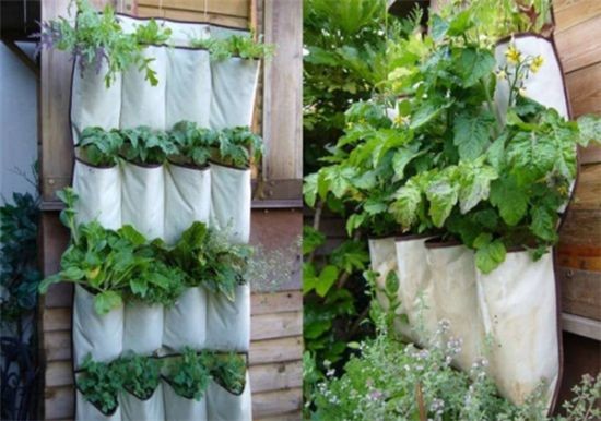garden space