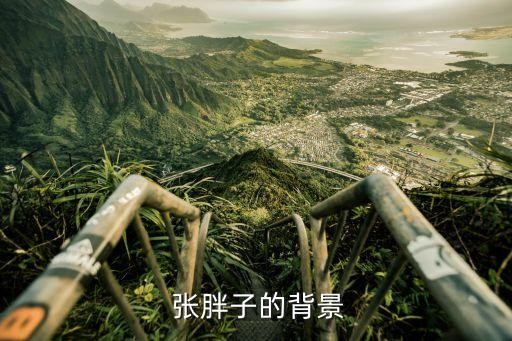 张胖子的背景