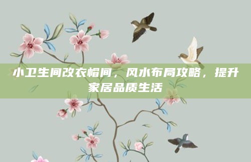 小卫生间改衣帽间，风水布局攻略，提升家居品质生活