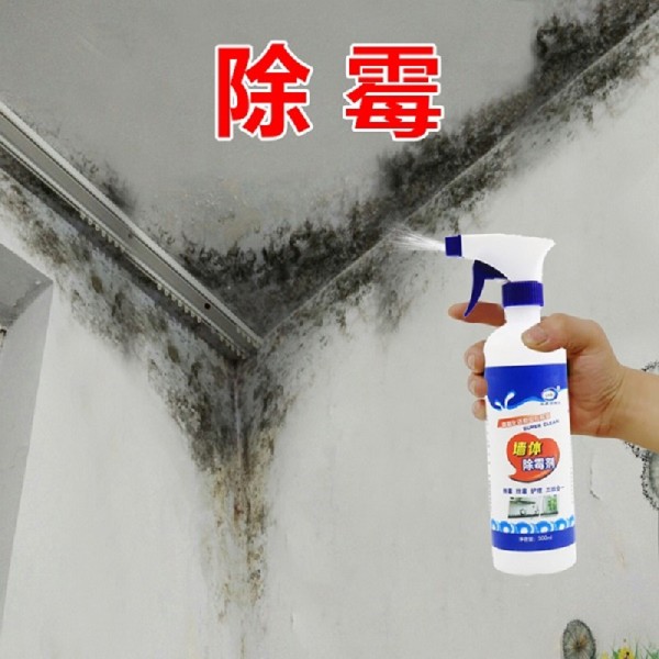 2瓶除霉剂墙体墙面防发霉大白墙卫生间墙壁去除去霉剂