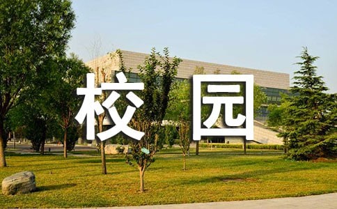有关校园清洁的活动总结4篇