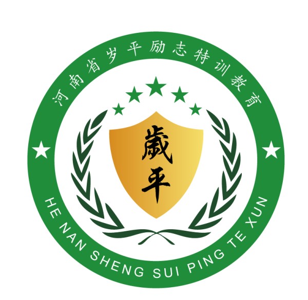 河南岁平科技有限公司