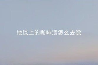 地毯上的咖啡渍怎么去除