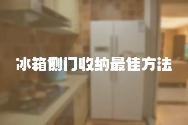 冰箱侧门收纳最佳方法