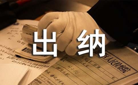 财务出纳个人总结