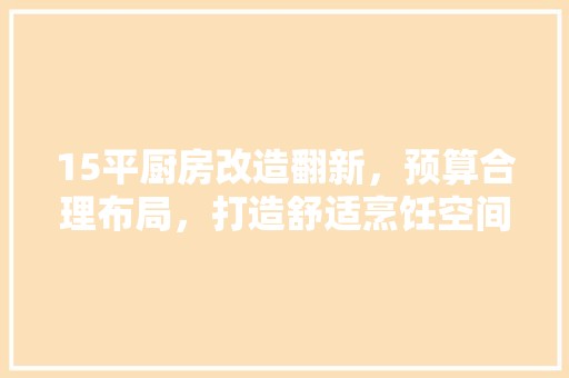 15平厨房改造翻新，预算合理布局，打造舒适烹饪空间 设计风格