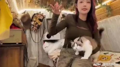 318偶遇小姐姐开着自改面包车进藏，简直就是移动的小木屋