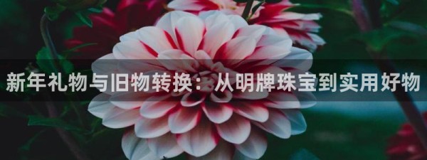 新宝5开好