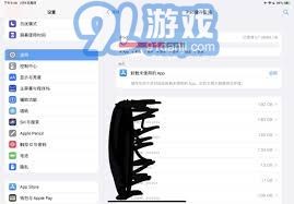 如何探索iPad存储空间的秘密