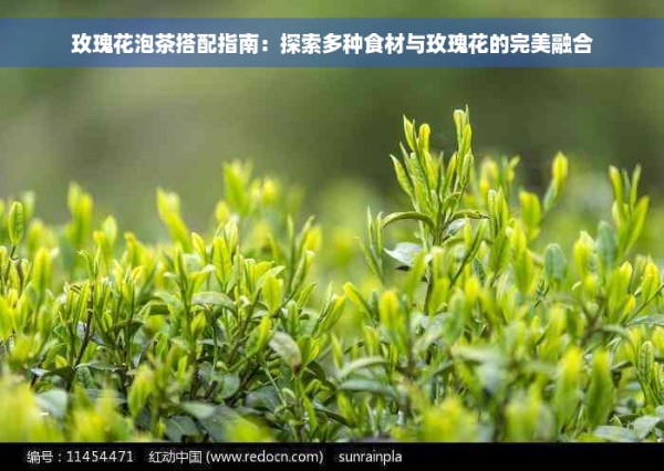 玫瑰花泡茶搭配指南：探索多种食材与玫瑰花的完美融合