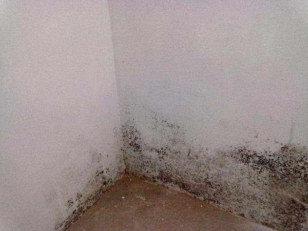 家里墙面老是被孩子乱涂乱画？学会这一清洁妙招立刻干干净净