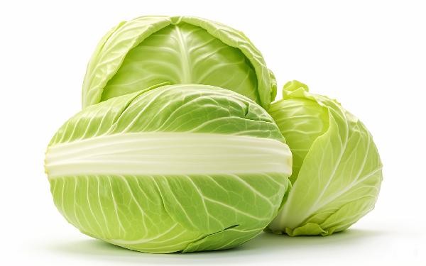 包菜可以放多久不坏