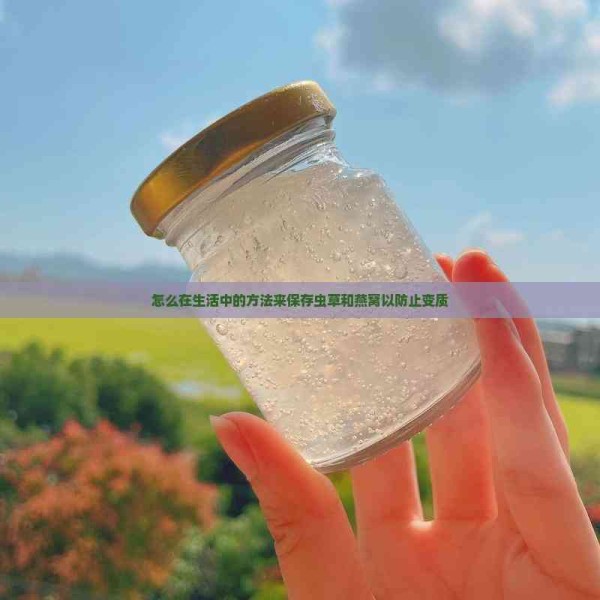 怎么在生活中的方法来保存虫草和燕窝以防止变质