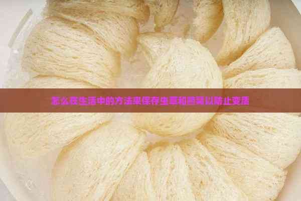 怎么在生活中的方法来保存虫草和燕窝以防止变质