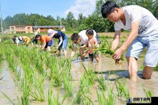 在野外用小雨伞拔萝卜好吗：体验别样的田园生活