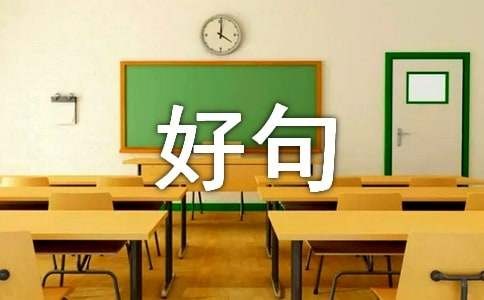 简单的人生感悟的好句10篇